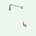 PremiumLine frostsichere selbstentleerende Körper-Notdusche, Edelstahl, für Wandmontage